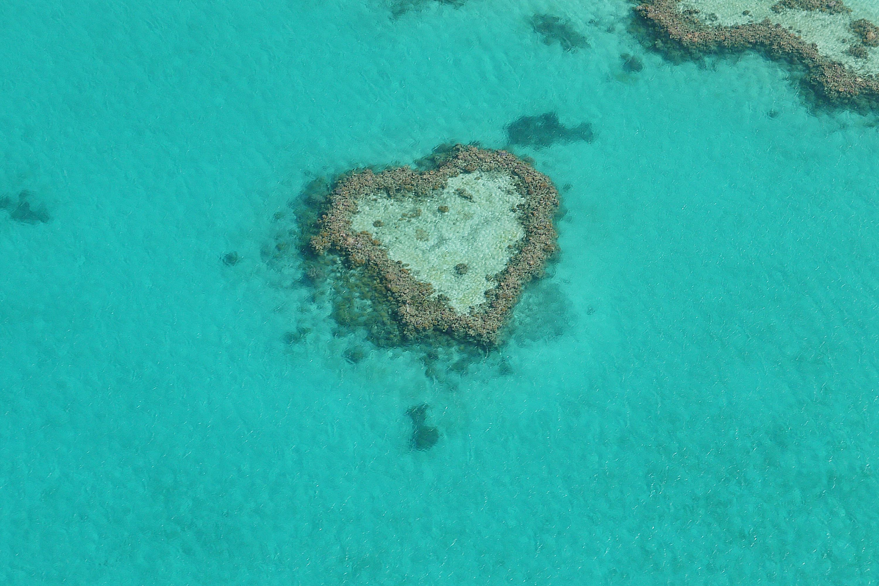 aerial,shot,of,the,heart,reef,in,the,great,barrier