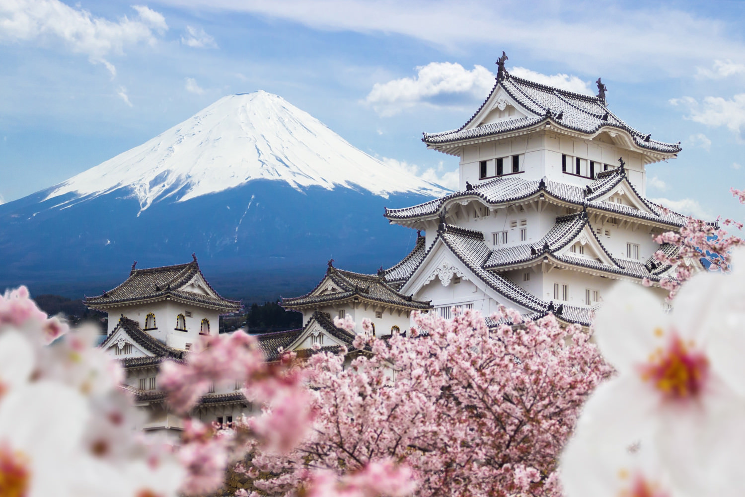 himeji,castle,and,full,cherry,blossom,,with,fuji,mountain,background,