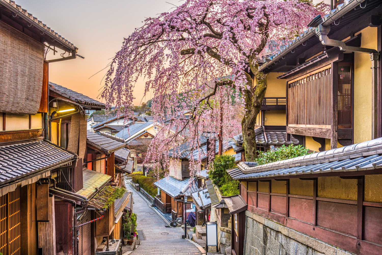 kyoto,,japan,springtime,in,the,historic,higashiyama,district,art,dawn.