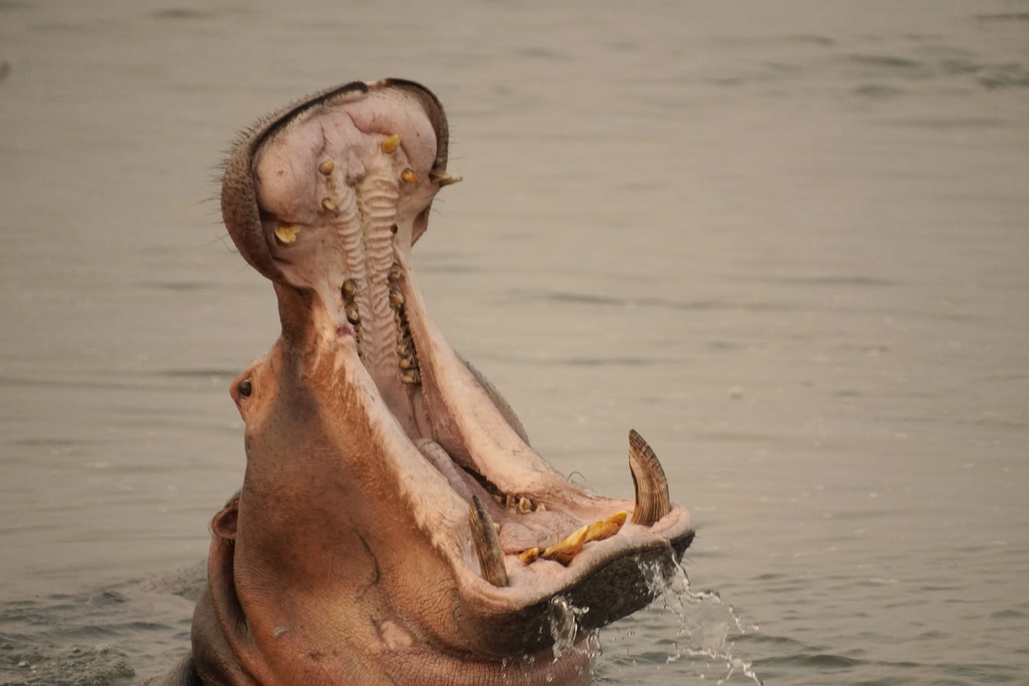 simbabwe lake kariba 2