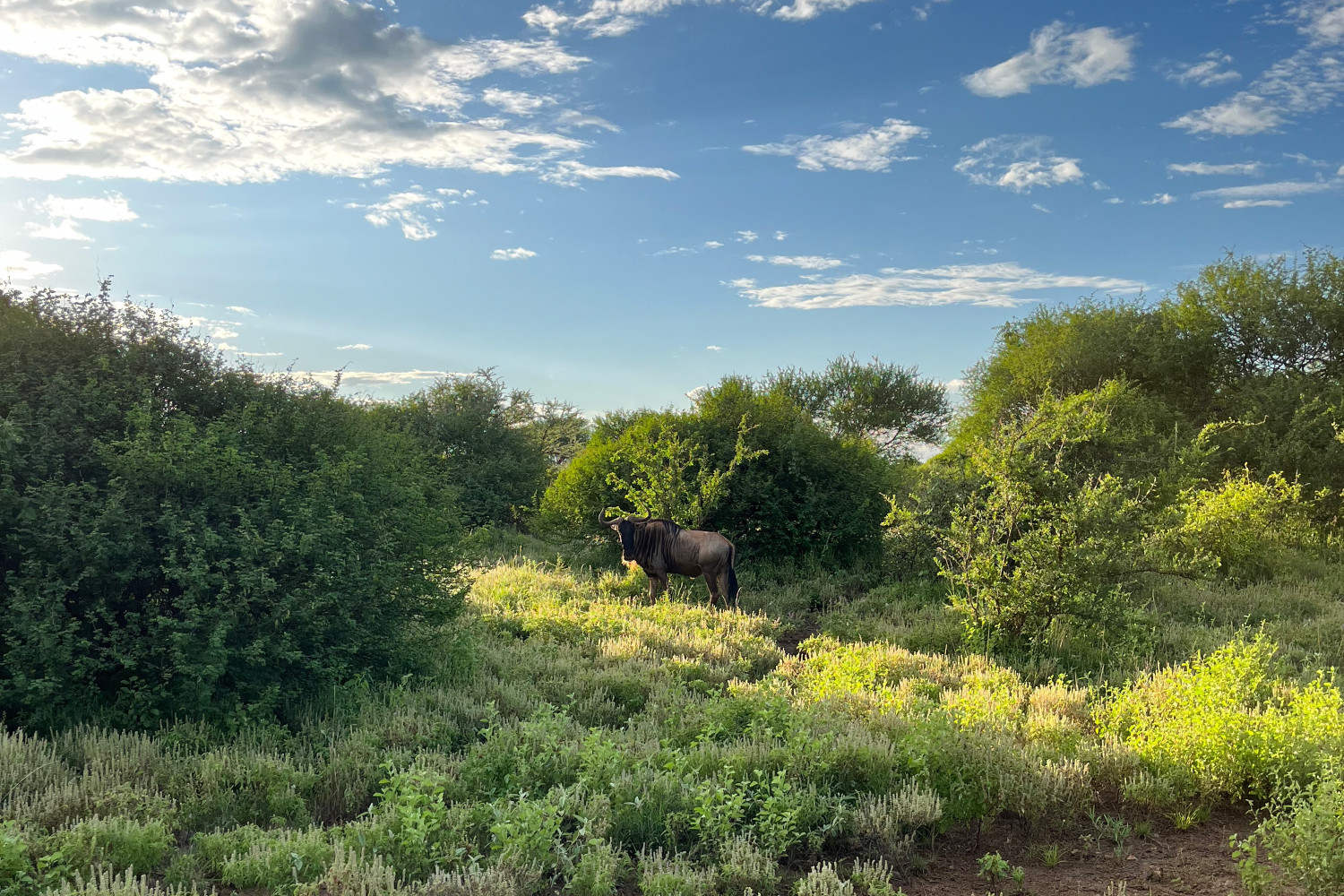 afrika kenia 2 3