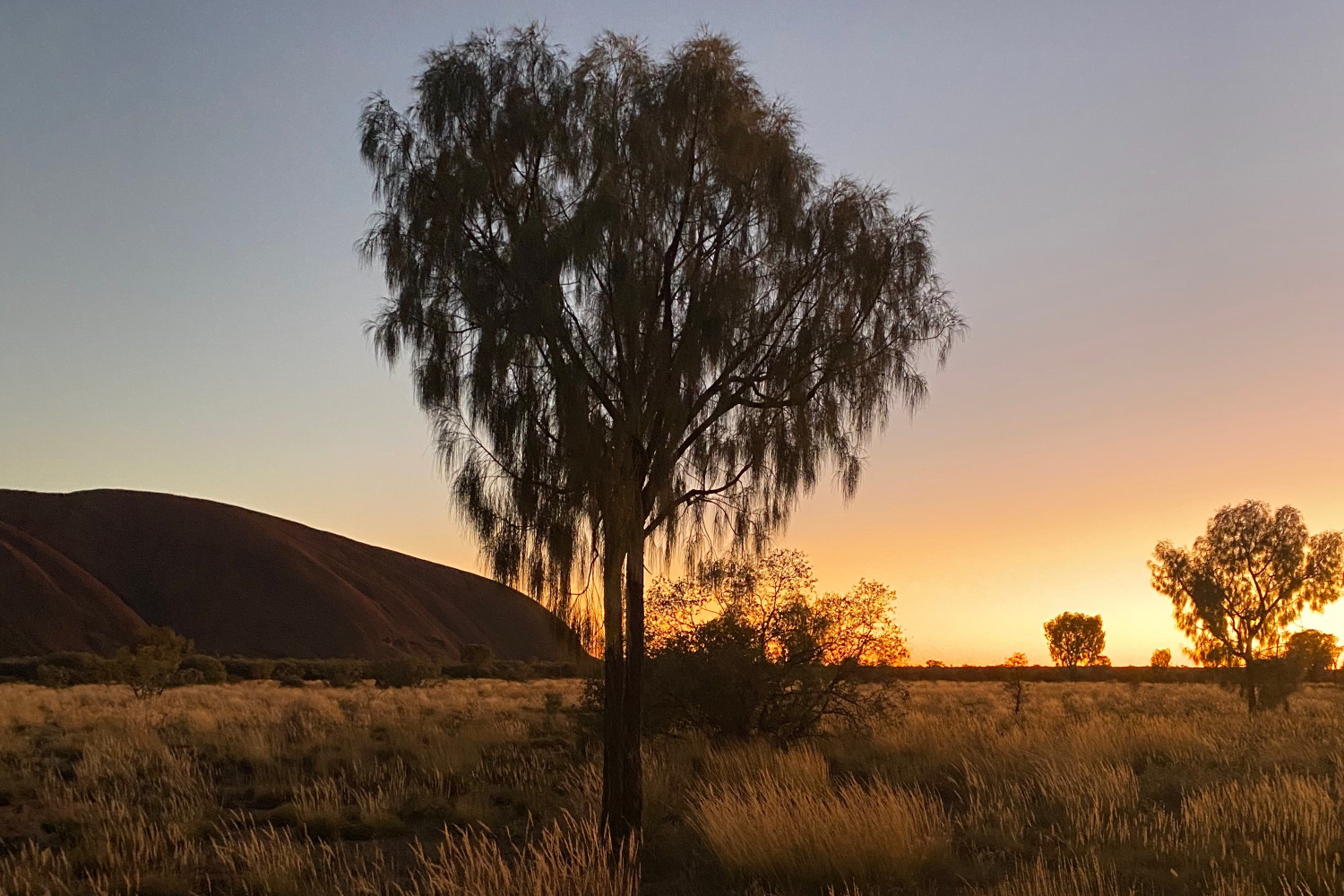 uluru fam cf 6