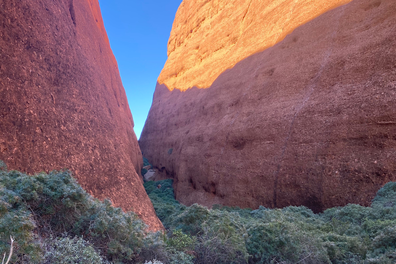 uluru fam cf 8