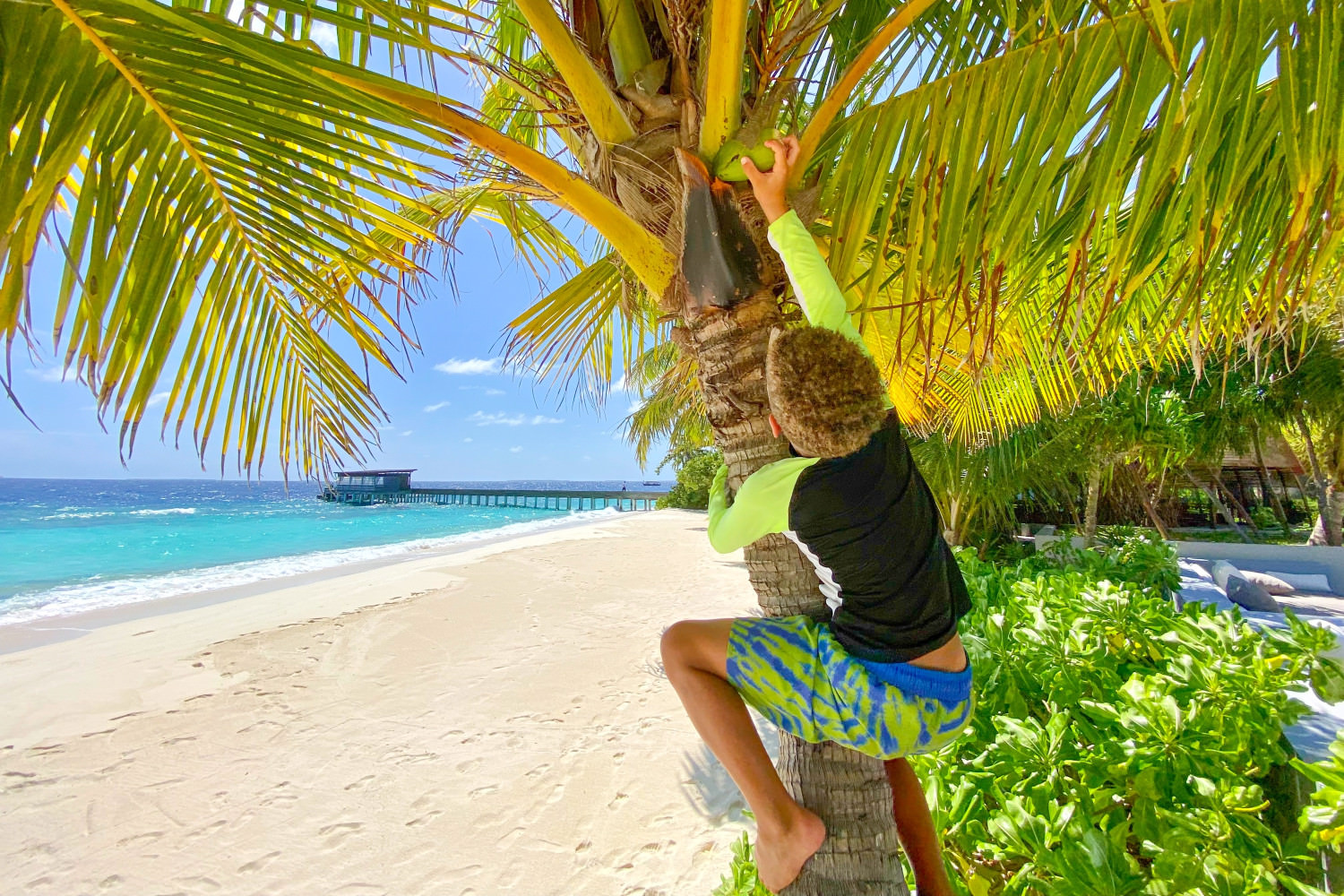 park hyat maldives hadahaa 21
