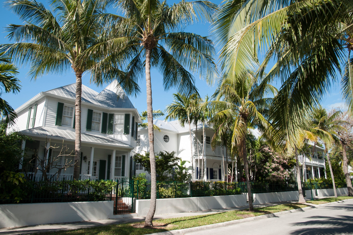the,lush,tropical,street,in,key,west,resort,town,residential