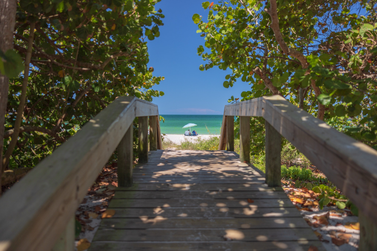 naples, marco island & everglades cvb 1