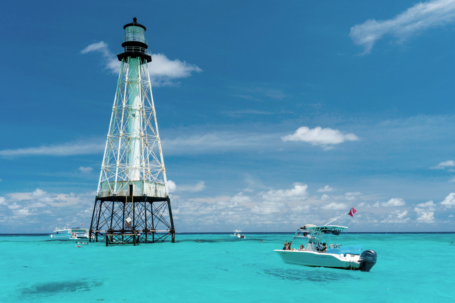 alligator reef islamorada c by rob onealcredit visit florida keys