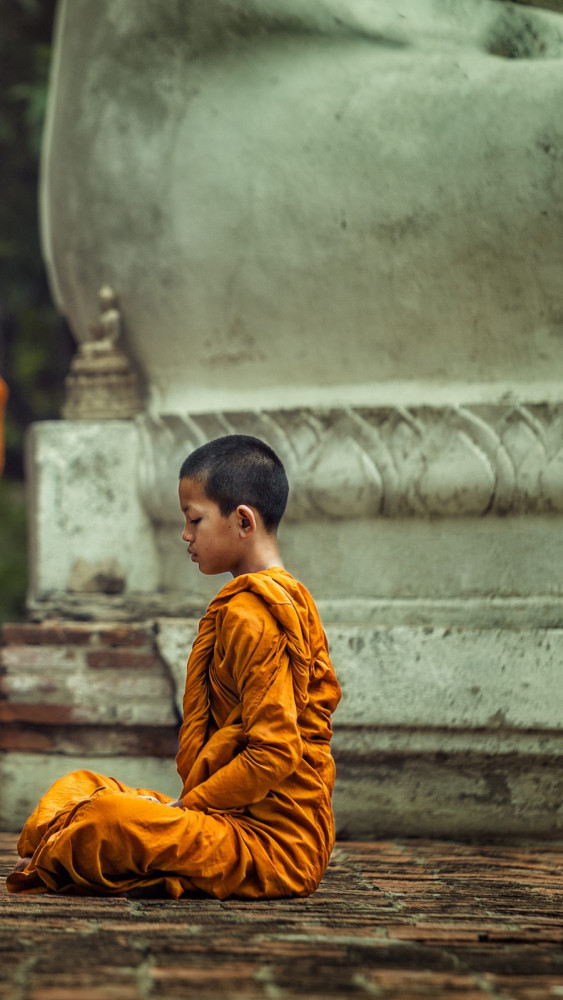 novices,monk,vipassana,meditation,at,front,of,buddha,statue