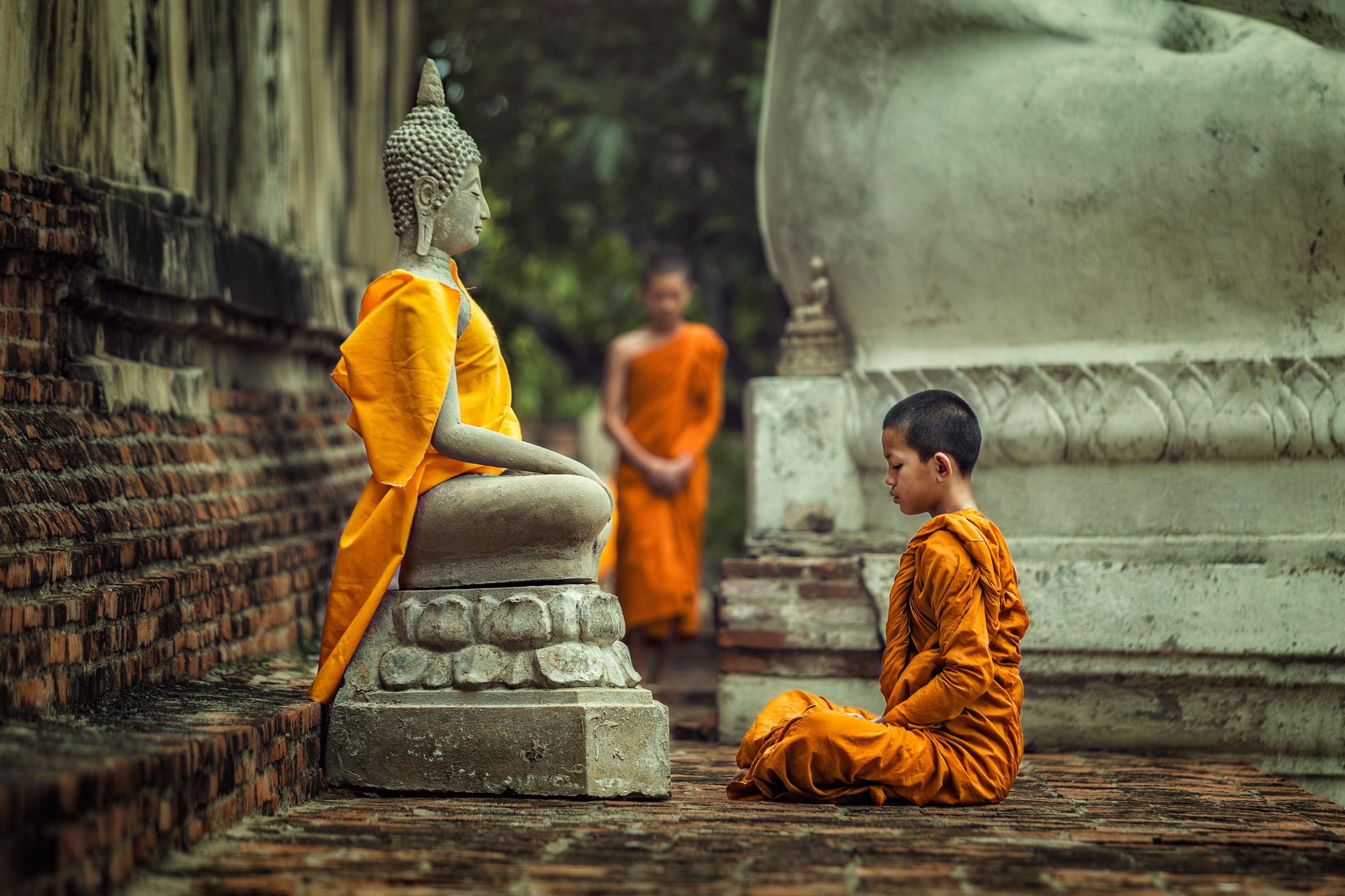 novices,monk,vipassana,meditation,at,front,of,buddha,statue