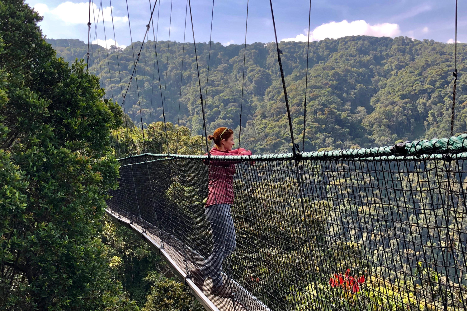 nyungwe ruanda brücke