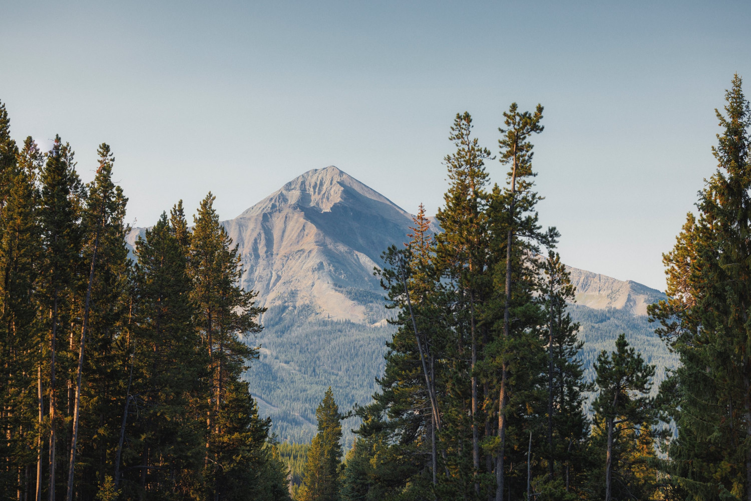 one&only montana 2