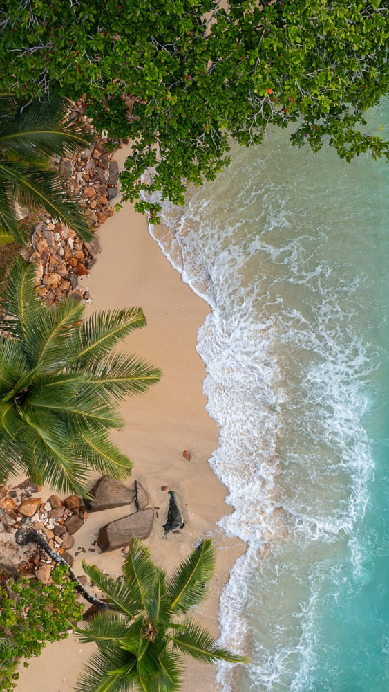 mango house seychelles 1