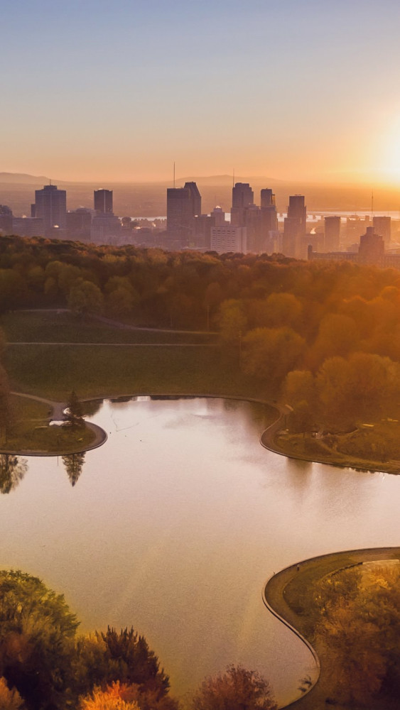 morning,sunlight,on,montreal,city