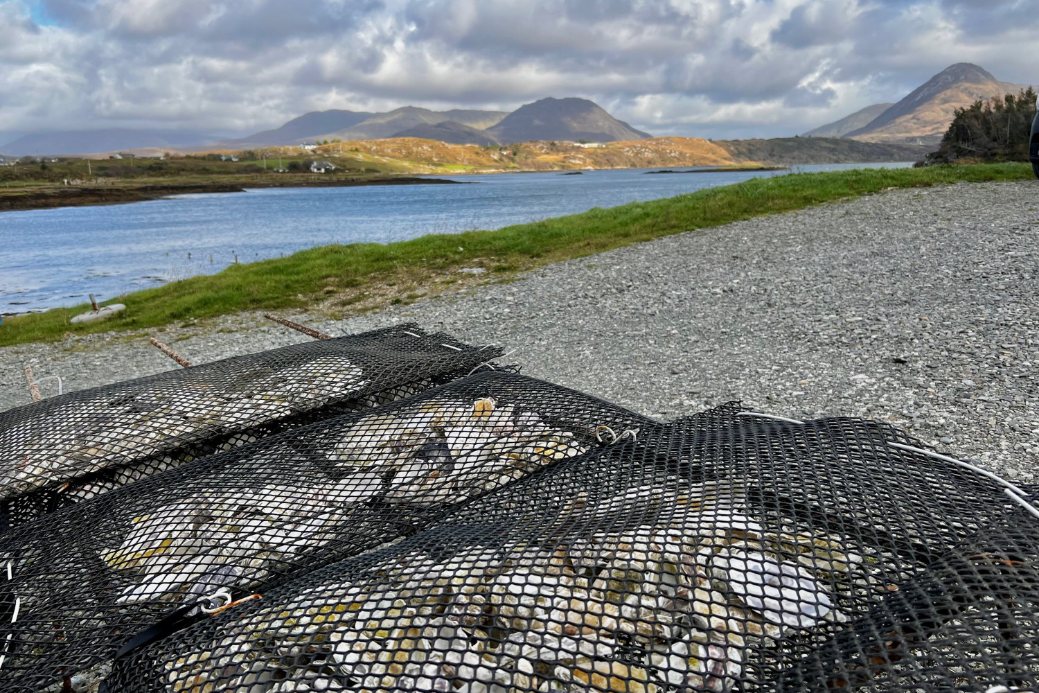 irland doolin tasting 4