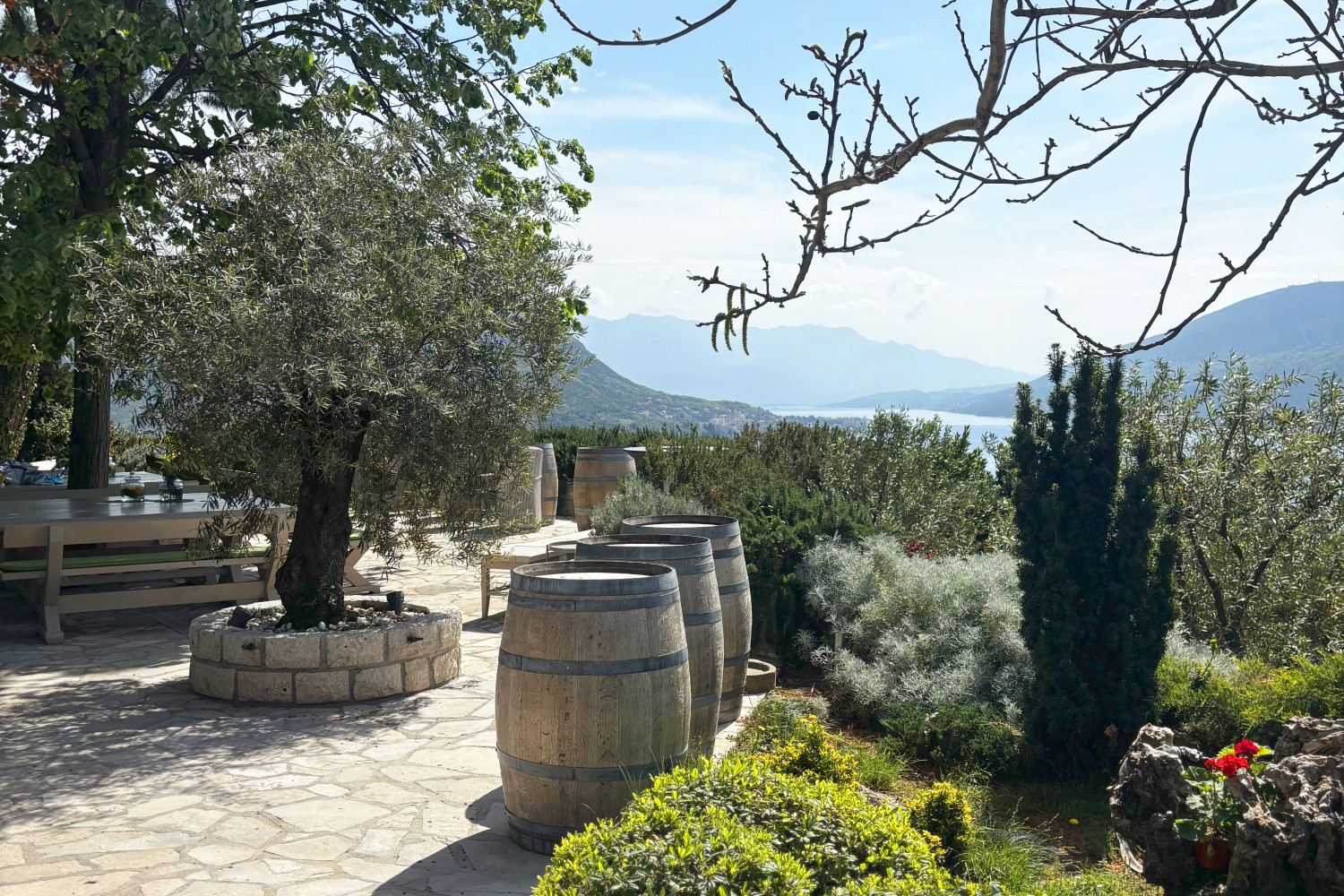 montenegro michelle 10