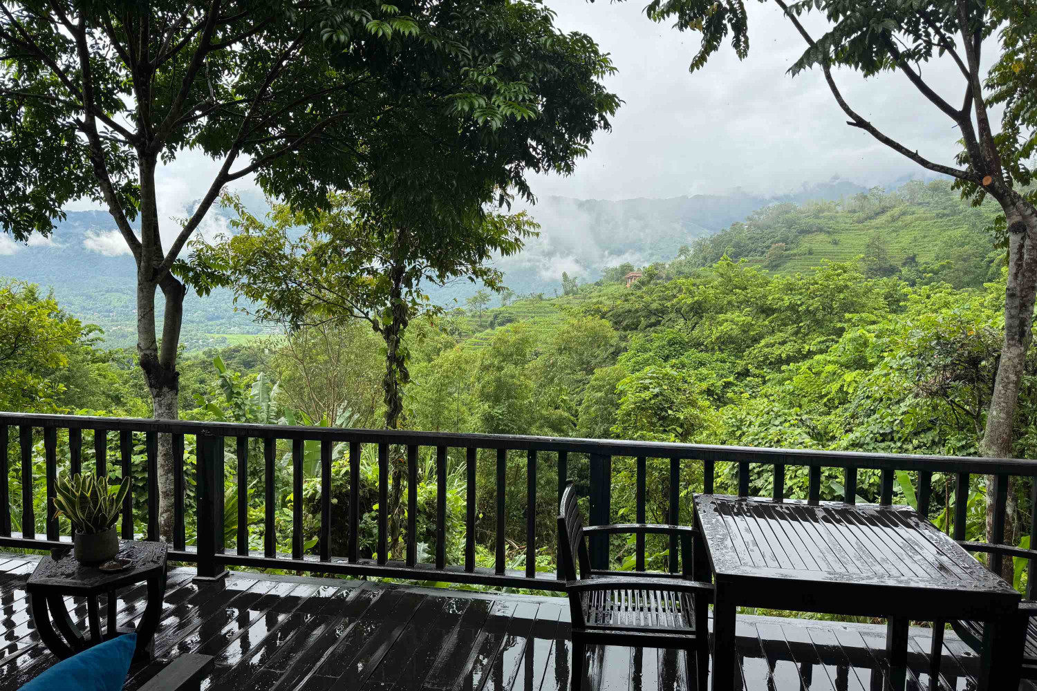 avana retreat vietnam 1