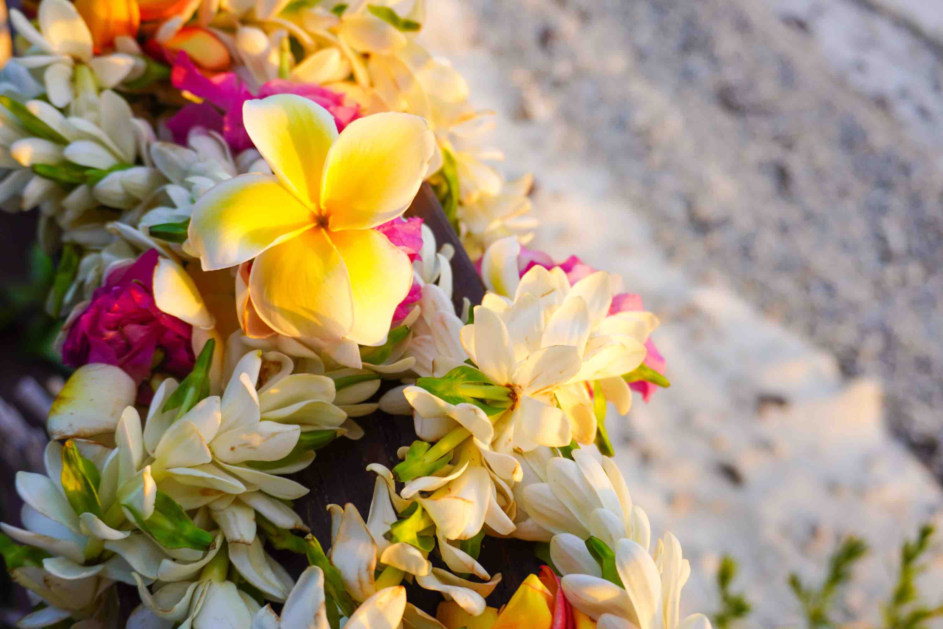 a,lei,of,colorful,tropical,flowers,with,a,white,sandy
