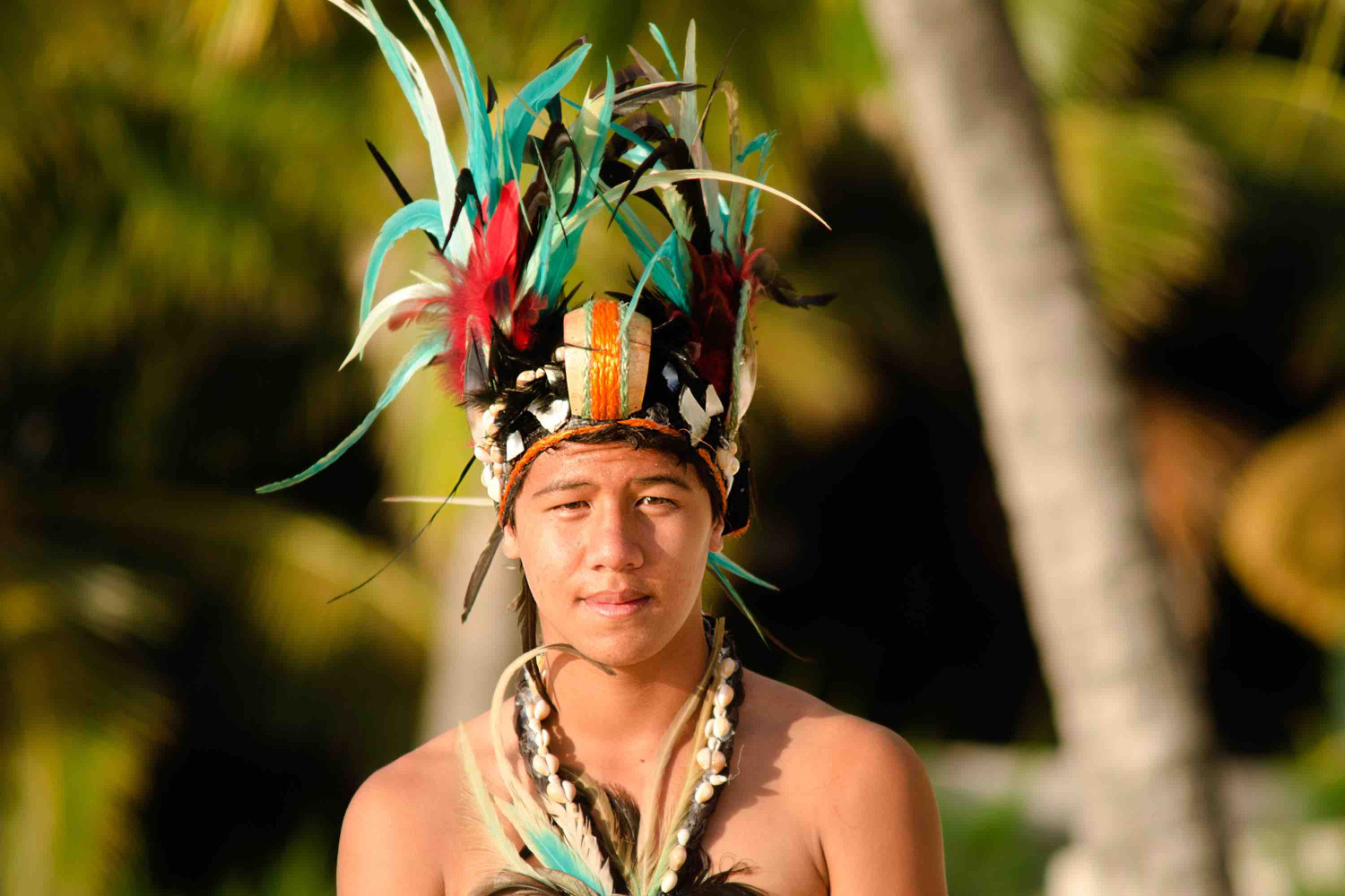 portrait,of,attractive,young,polynesian,pacific,islander,tahitian,male,dancer
