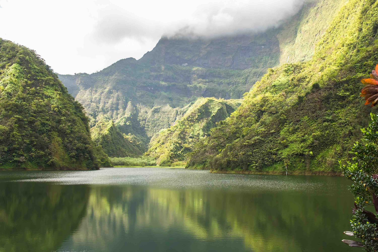 tahiti,in,french,polynesia,,vaihiria,lake,in,the,papenoo,valley