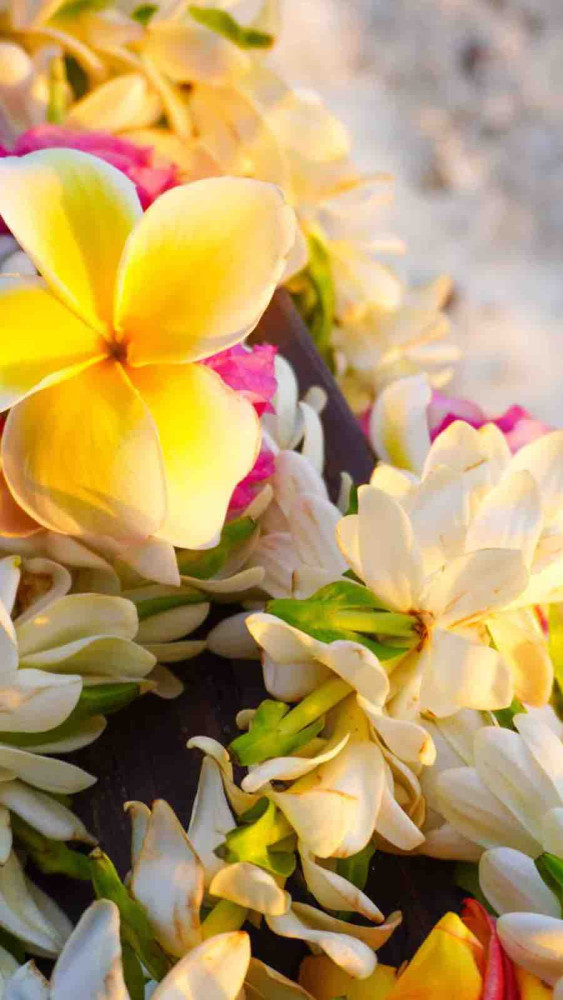 a,lei,of,colorful,tropical,flowers,with,a,white,sandy