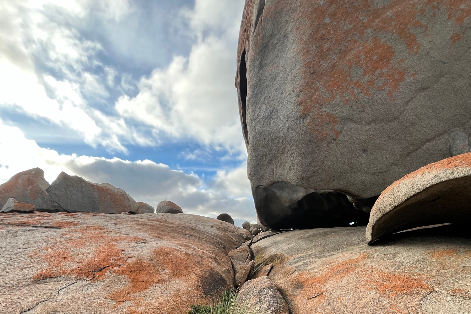 australien chrissie 1