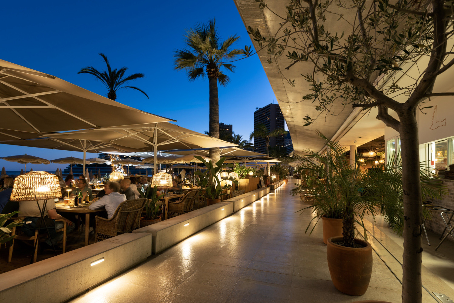 monaco c bvergely larvotto nuit